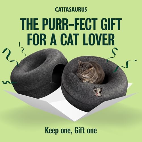 Cattasaurus Peekaboo Cat Cave Donut - Image 4
