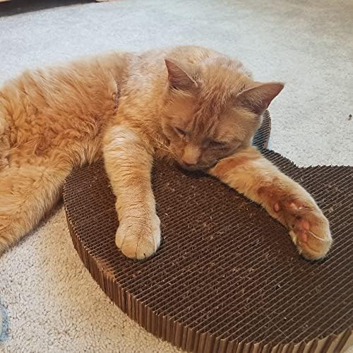 Cat Scratcher by Americat – Made in USA Cardboard Scratching Pad & Lounger – X - Image 3