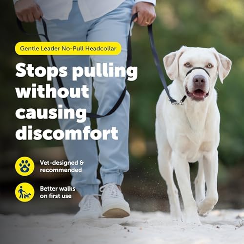 PetSafe Gentle Leader No Pull Dog Headcollar - Image 2