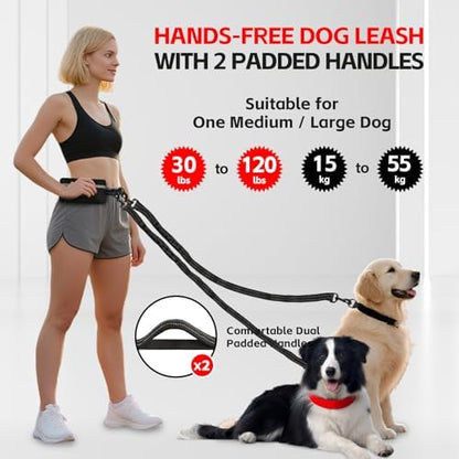 Hands Free Dog Leash for 2 Dogs - Image 2