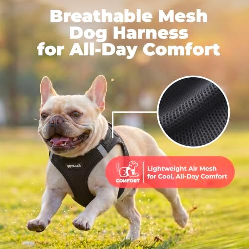 Voyager Step-in Air Dog Vest Harness - Image 5
