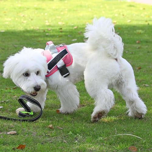 Bolux Dog Harness, No-Pull Reflective Dog Vest, Breathable Adjustable Pet - Image 5