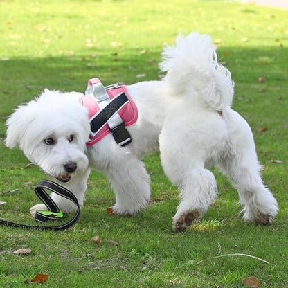 Bolux Dog Harness, No-Pull Reflective Dog Vest, Breathable Adjustable Pet - Image 5