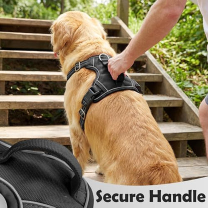 Funfox Dog Harness Small Sized Dog, Vertical Handle Easy Control, No Pull Pet - Image 4