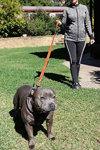 Primal Pet Gear Dog Leash 6ft Long, Traffic Padded Two Handle, Heavy Duty - Image 5