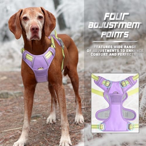 BARKBAY Dog Harness No Pull for Medium Sized Dog Front Back Clips, Dog Vest - Image 5