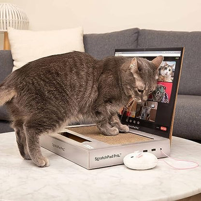 ScratchPad Pro — Cardboard Laptop Cat Scratcher by Relatable - Image 6