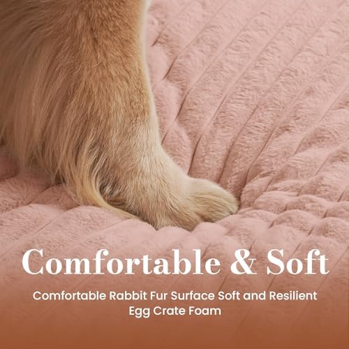 Medium Dog Bed Orthopedic Foam - Image 4