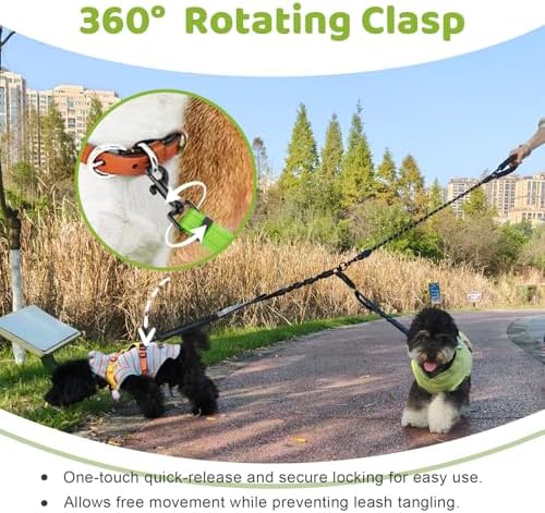 Double Dog Leash - Image 4