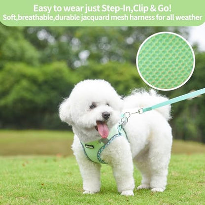 AIITLE Step in Dog Harness & Leash Set - Image 4