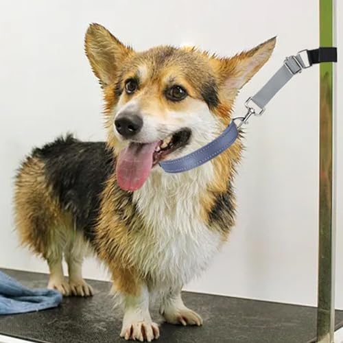 Pet Dog Grooming Arm Accessories - Image 5