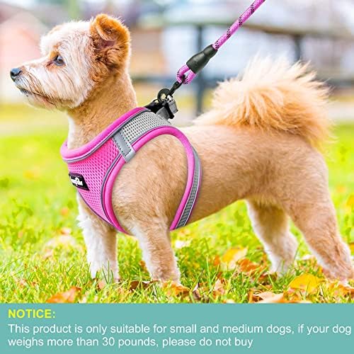 haapaw Dog Harness with Leash Set, No Pull Adjustable Reflective Step-in Puppy - Image 4