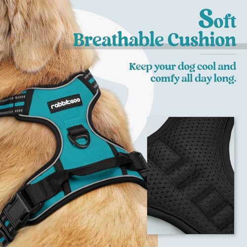 rabbitgoo Dog Harness, No Pull Medium Sized - Image 2