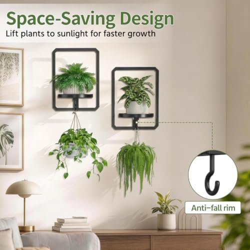 LASZOLA Plant Picture Frame Holder Shelf Wall Window Indoor - Image 7