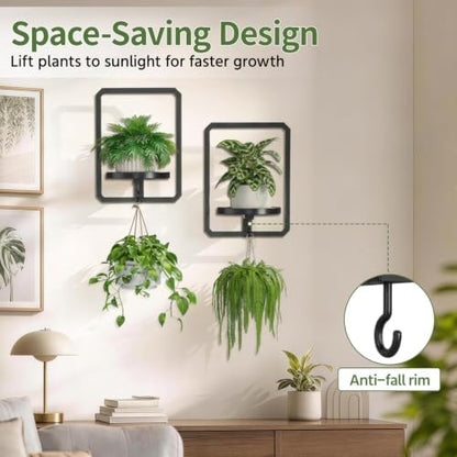 LASZOLA Plant Picture Frame Holder Shelf Wall Window Indoor - Image 7