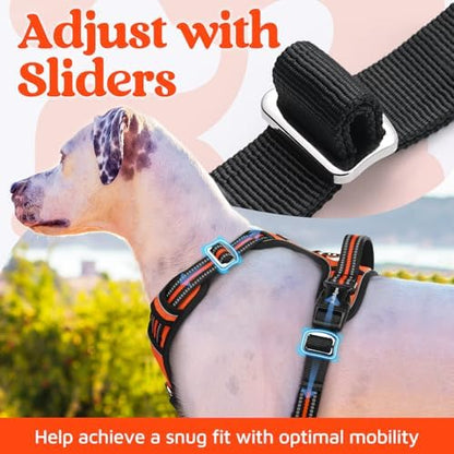 rabbitgoo Dog Harness Small Sized, No Pull 3 Buckles Easy On & Off - Image 5