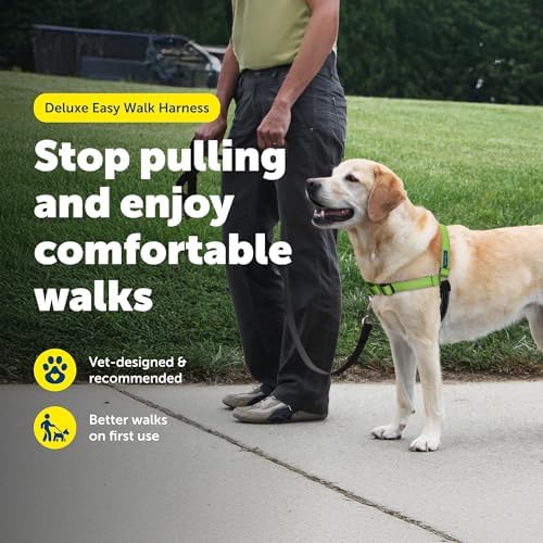 PetSafe Deluxe Easy Walk No Pull Dog Harness, Apple Green, Medium/Large - Image 3