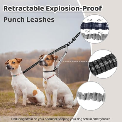 Double Dog Leash - Image 5