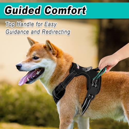 BARKBAY Dog Harness for Medium Sized Dog No Pull Mesh 2 Clips Dog Vest - Image 4