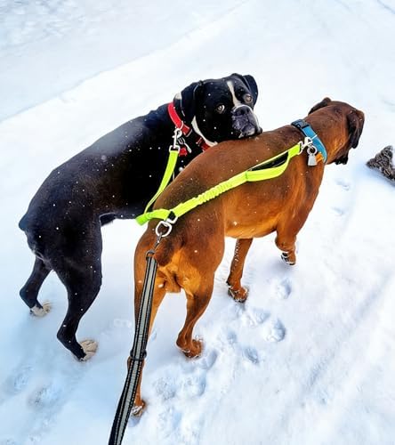 Dual Dog Leash Coupler for 2 Large Dogs Double Control Padded Handle - Image 5
