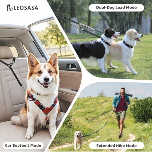Double Dog Leash - Image 6