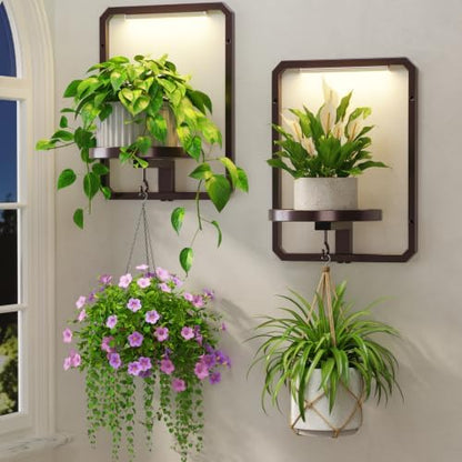 LASZOLA Plant Picture Frame Holder Shelf Wall by LASZOLA