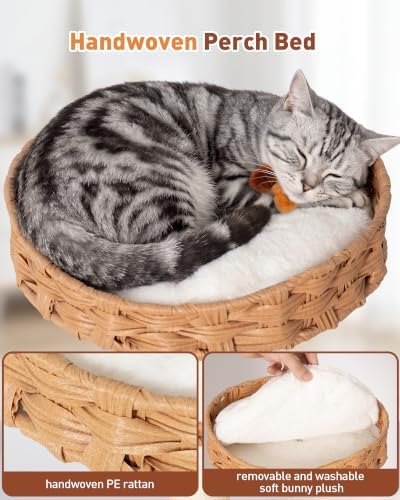 34" Modern Cat Tree with Large Hammock, Extra-Long Scratching Post - Image 6