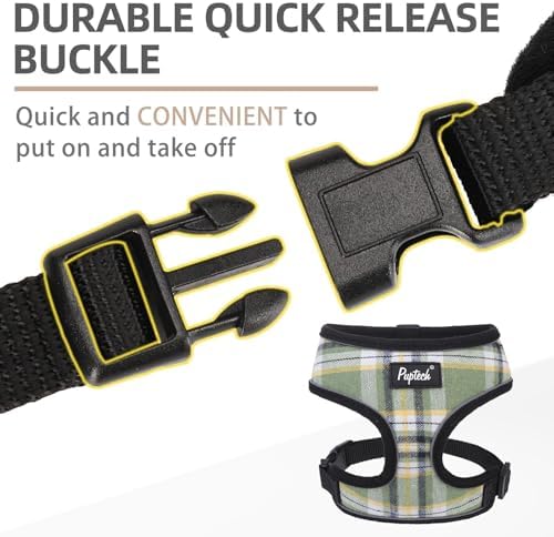 PUPTECK Small Dog Harness and Leash Set No Pull - Image 4
