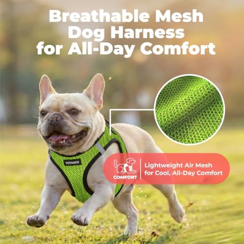 Voyager Step-in Air Dog Vest Harness - Image 5