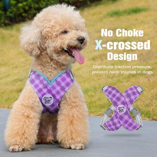 Pawaboo Small Dog Harness and Leash Set, Puppy Harness X-Frame Adjustable - Image 3