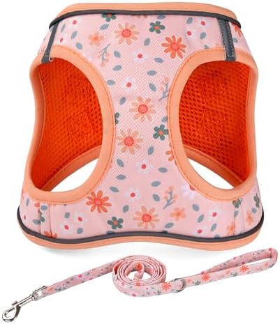 Mihqy Step in Dog Harness and Leash Set, Breathable Mesh by Mihqy
