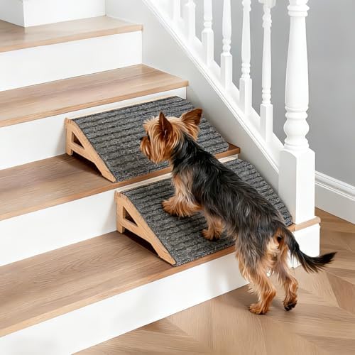 Fixed Wooden Dog Stairs by Unknown