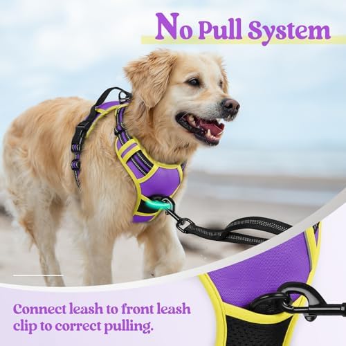 rabbitgoo Dog Harness, No Pull Medium Sized - Image 5