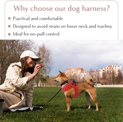 Comfort fit Step-in Dog & Puppy Harness - Image 6