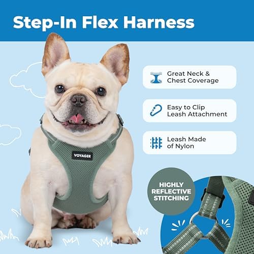 Voyager Step-in Flex Adjustable Dog Harness - Image 5