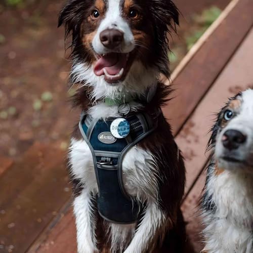 AUROTH Tactical Dog Harness Medium Sized Dog No Pull Adjustable Dog Vest - Image 6