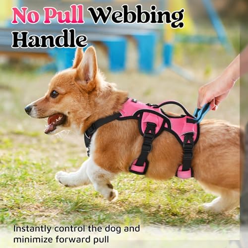 rabbitgoo Escape Proof Dog Harness - Image 4