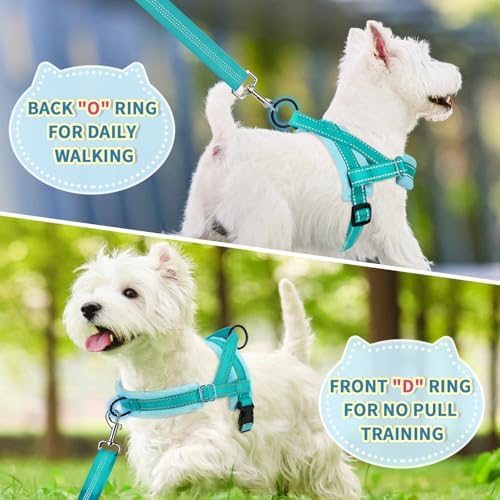 SlowTon No Pull Small Dog Harness and Leash Set - Image 4