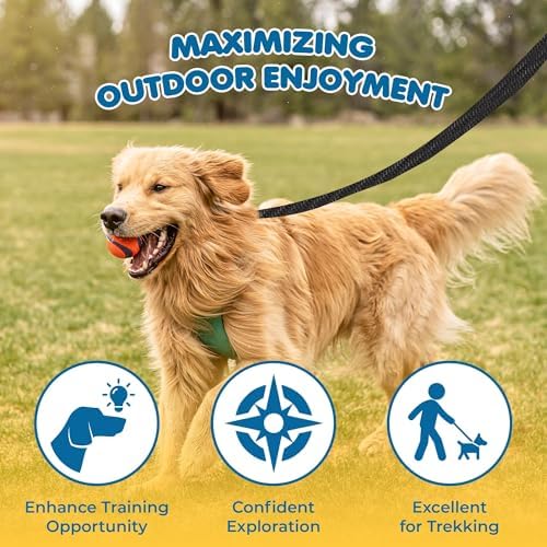 SunGrow Pet Training Leash, Heavy-Duty Polypropylene Walking Leash, 360-degree - Image 3
