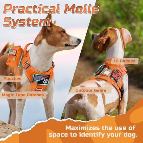 rabbitgoo Tactical Dog Harness for X-Large, No Pull Military Service Vest - Image 4