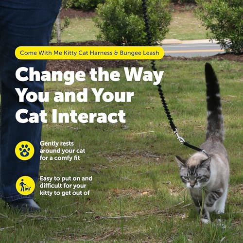 PetSafe Come With Me Kitty Harness and Bungee Leash, Harness - Image 2