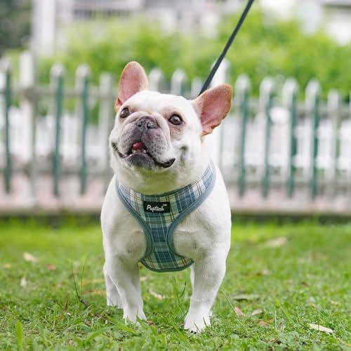 PUPTECK Small Dog Harness and Leash Set No Pull - Image 6