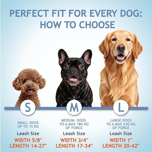 Kruz Double Dog Leash for Two Dogs Dual Leash Coupler - Image 5
