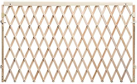 Evenflo Expansion Walk-Thru Room Divider Baby Gate by Evenflo