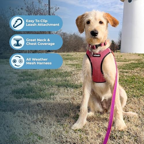 Voyager Step-in Air Dog Vest Harness - Image 3