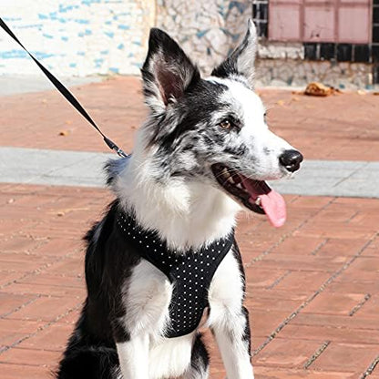 Puppia Dotty Dog Harness Over-the-Head No Pull No Choke Walking Training - Image 3