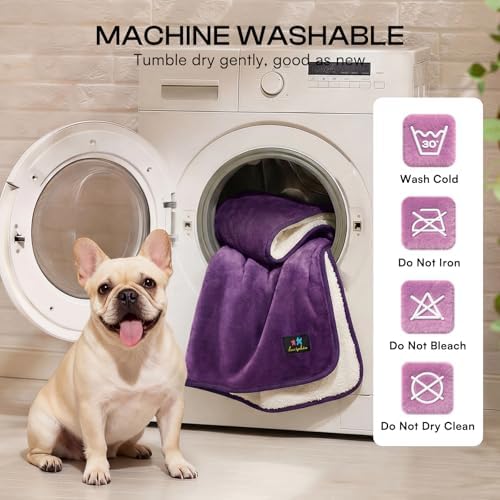 Luciphia Waterproof Pet Blanket, Washable Reversible Sherpa Fleece Throw - Image 6