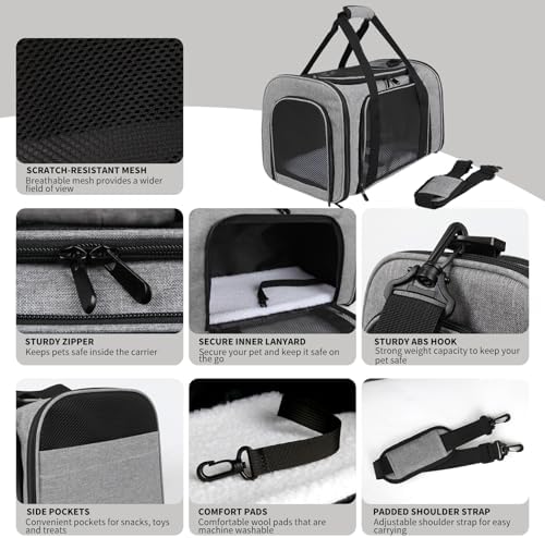 Carriers Soft-Sided Pet Carrier - Image 3