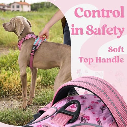 rabbitgoo Dog Harness Small Sized, Updated Easy On & Off - Image 5