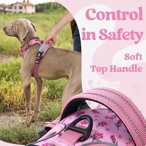 rabbitgoo Dog Harness Medium Sized, Updated Easy On & Off - Image 5